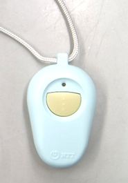 pendant